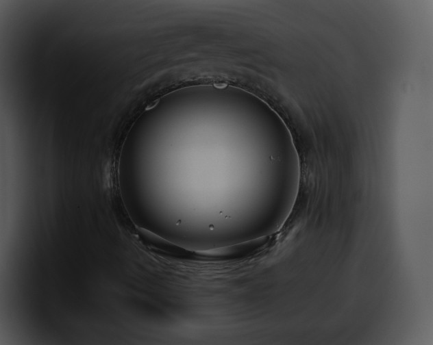 X0000100391490200806061243