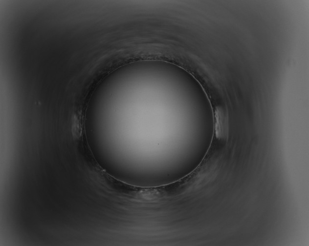 X0000100391491200806061243