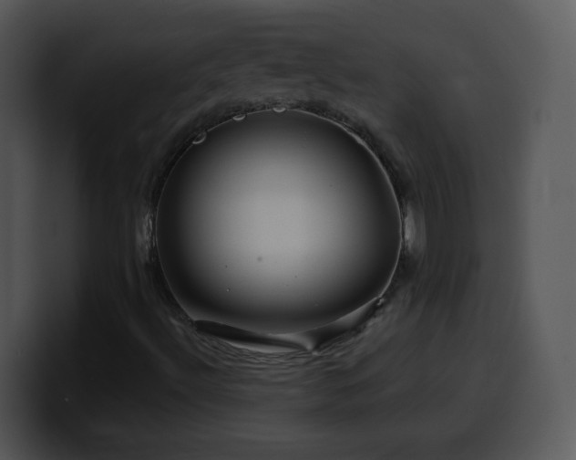 X0000100391492200806061243