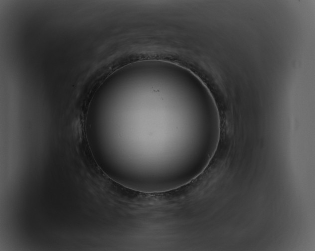 X0000100391493200806061243