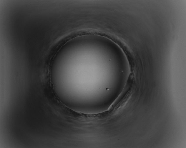 X0000100391494200806061243