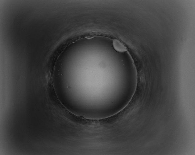 X0000100391495200806061243