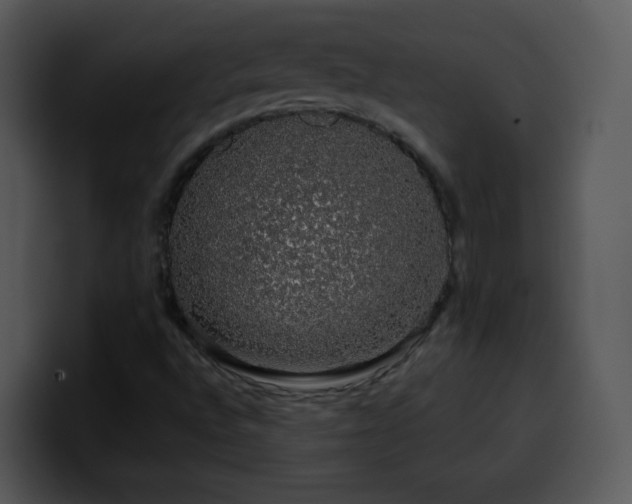 X0000100391496200806061243