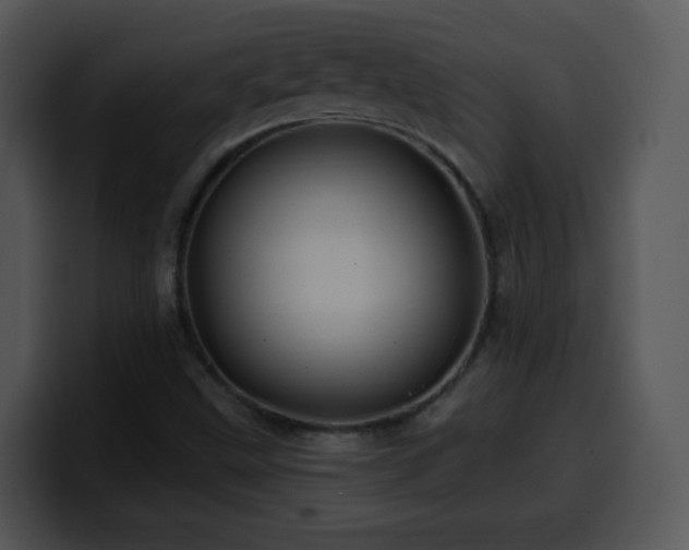 X0000100391499200806061243