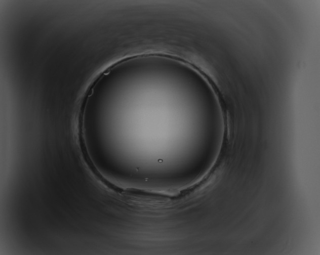 X0000100391500200806061243