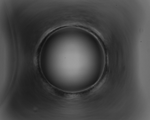 X0000100391501200806061243