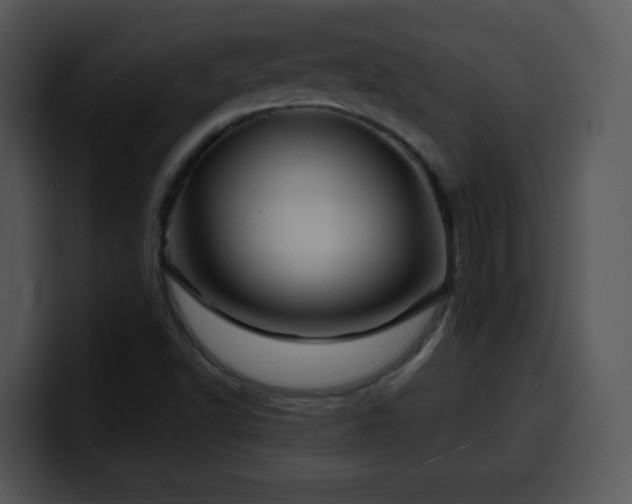 X0000100391502200806061243