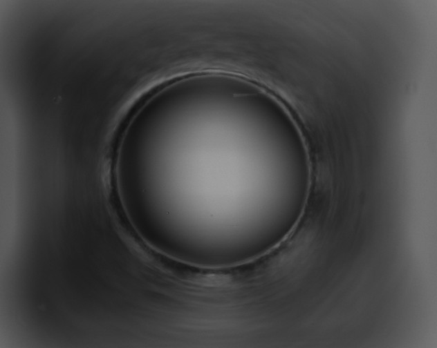 X0000100391503200806061243