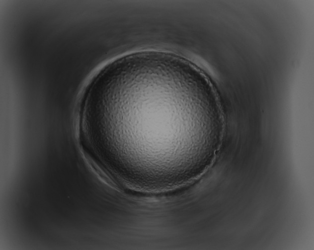 X0000100391504200806061243