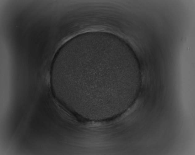 X0000100391505200806061243