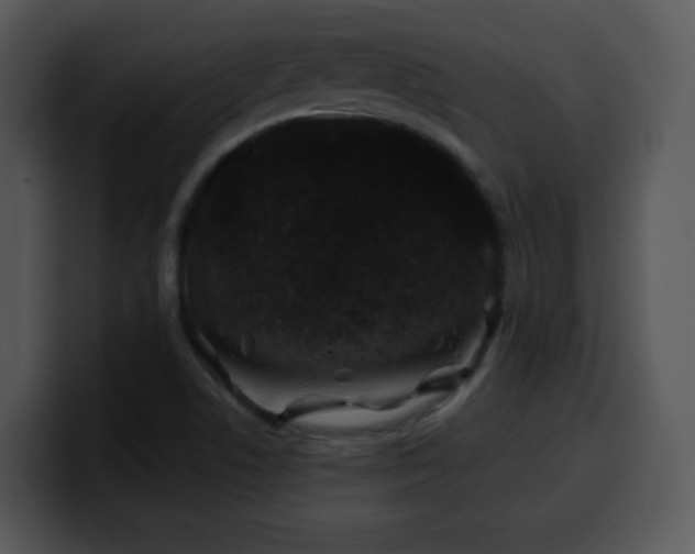 X0000100391506200806061243