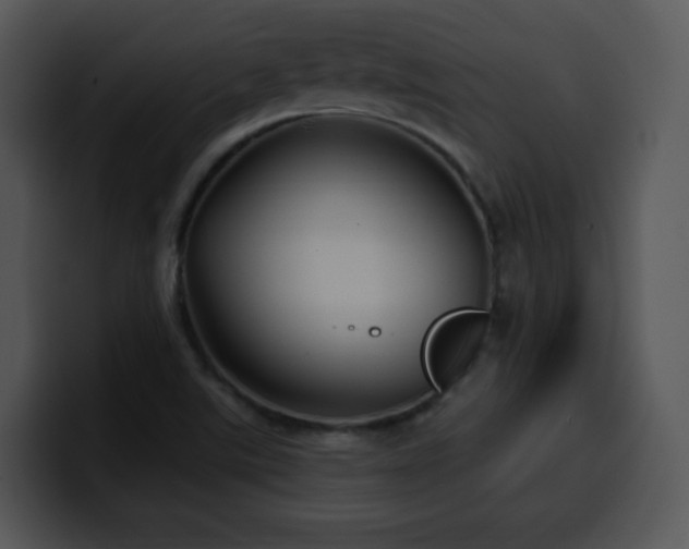 X0000100391507200806061243