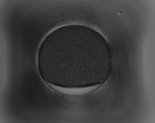 X0000100391508200806061243