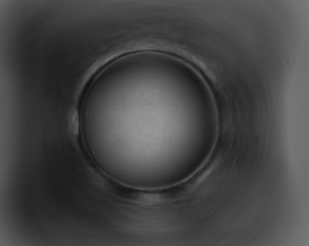 X0000100391509200806061243