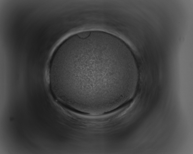 X0000100391510200806061243