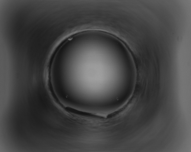 X0000100391511200806061243