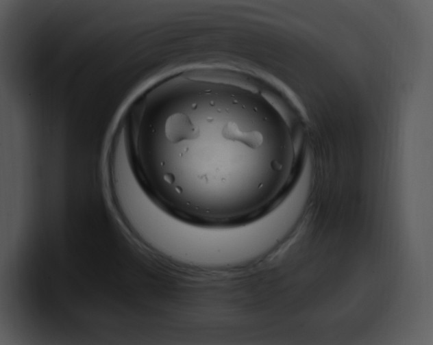 X0000100391514200806061243