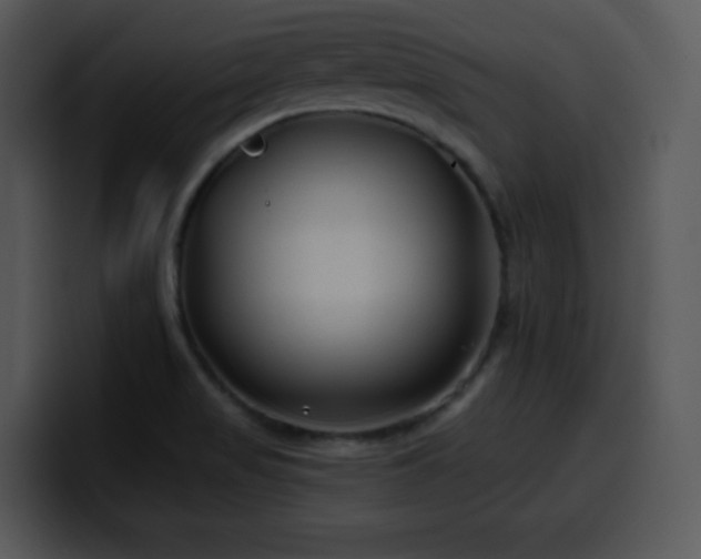 X0000100391517200806061243