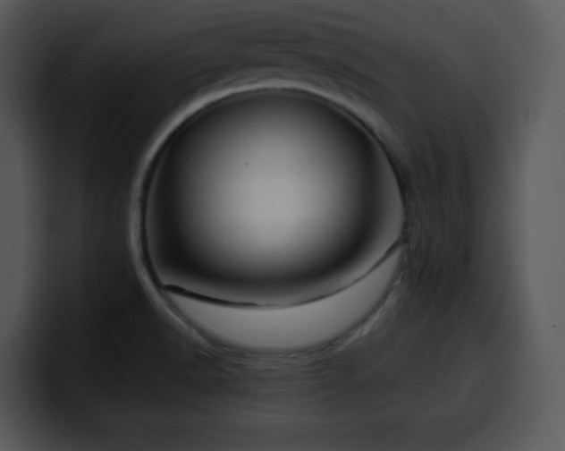X0000100391518200806061243