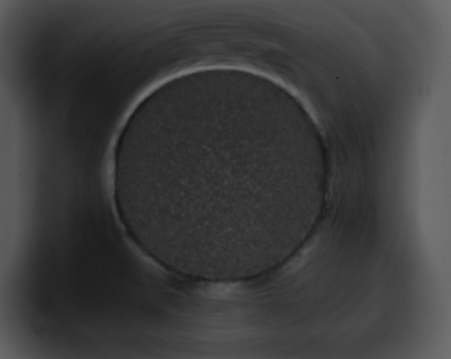 X0000100391519200806061243