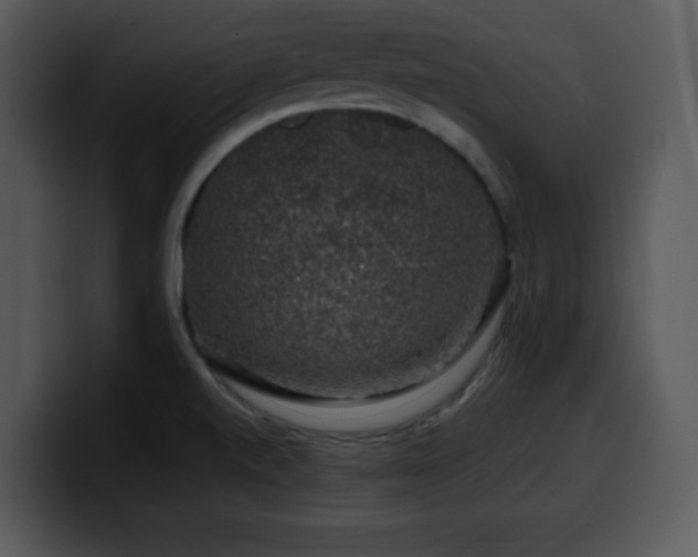 X0000100391520200806061243