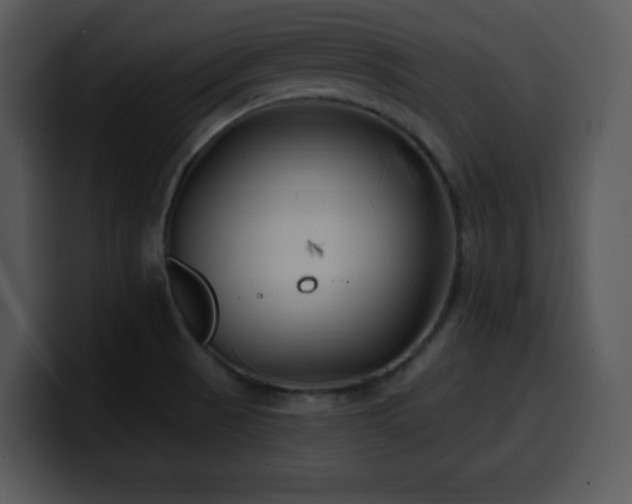 X0000100391521200806061243