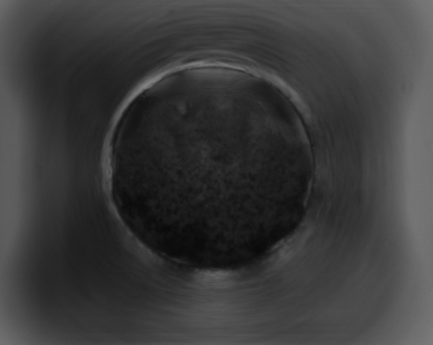 X0000100391522200806061243