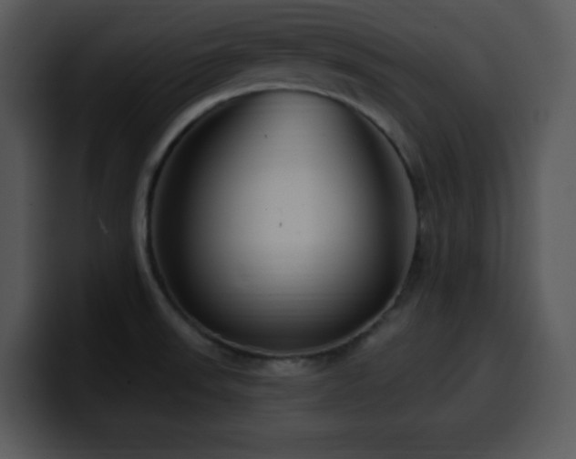 X0000100391523200806061243