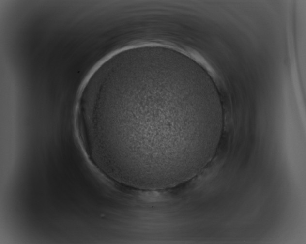 X0000100391524200806061243