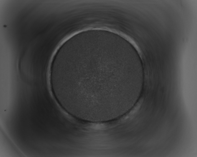 X0000100391525200806061243