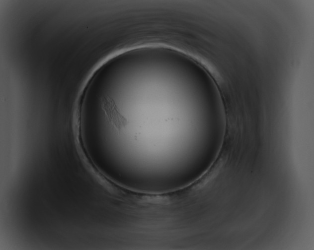 X0000100391526200806061243