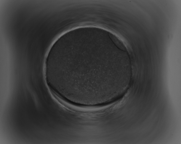 X0000100391527200806061243