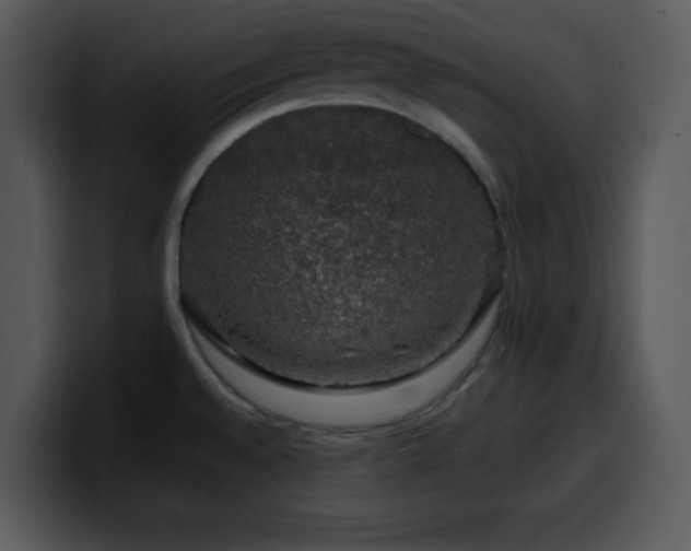 X0000100391528200806061243