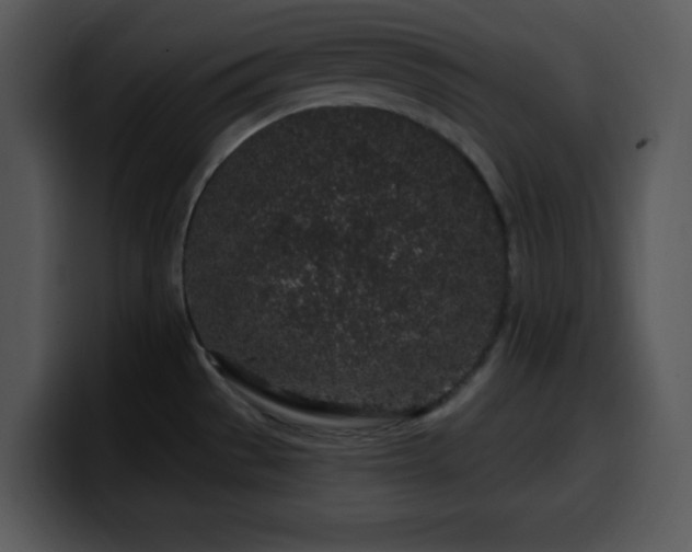 X0000100391529200806061243