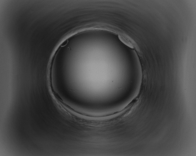 X0000100391530200806061243