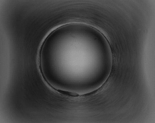 X0000100391531200806061243