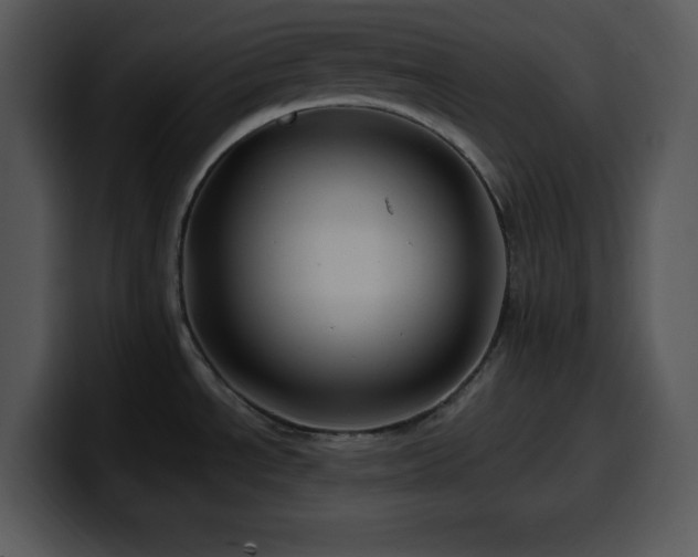 X0000100391534200806061243