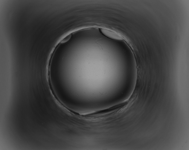 X0000100391535200806061243