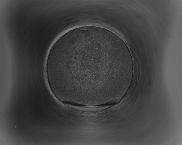 X0000100391536200806061243