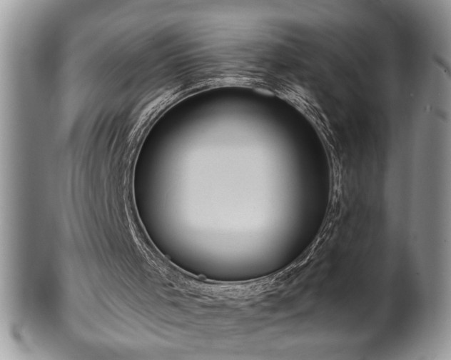 X0000100390001200806131002