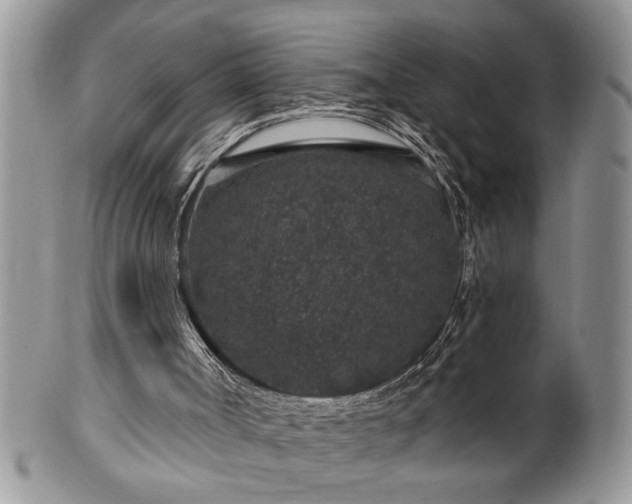 X0000100390002200806131002