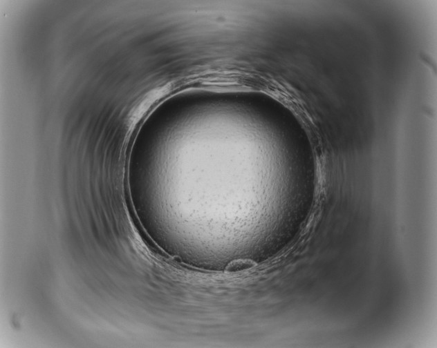 X0000100390003200806131002