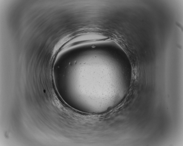 X0000100390004200806131002