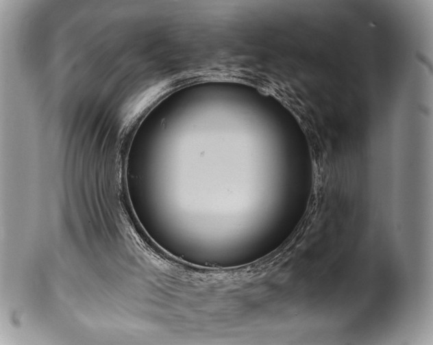 X0000100390005200806131002