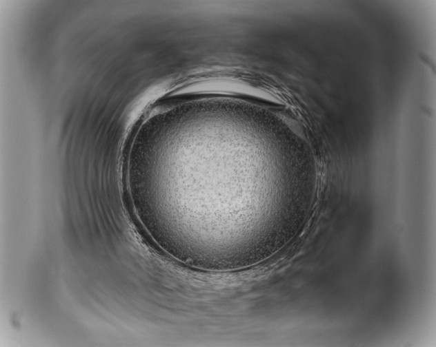 X0000100390006200806131002