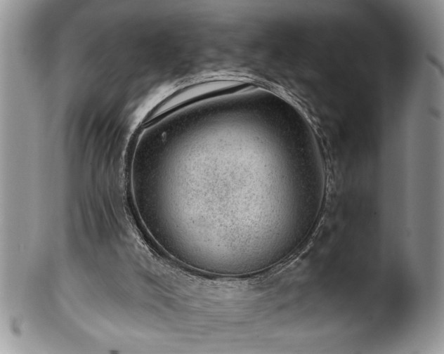 X0000100390008200806131002