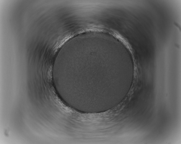 X0000100390009200806131002