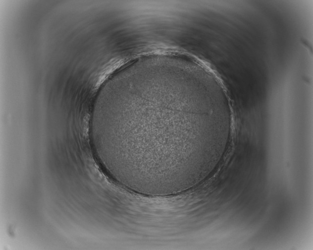 X0000100390010200806131002