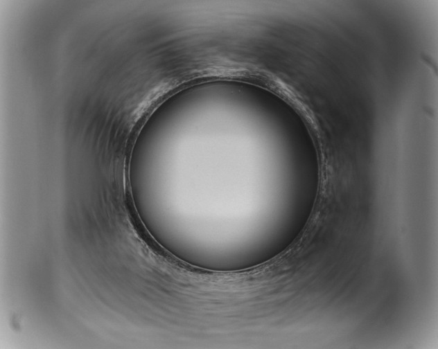 X0000100390011200806131002