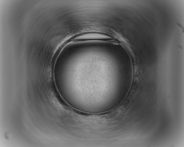 X0000100390012200806131002